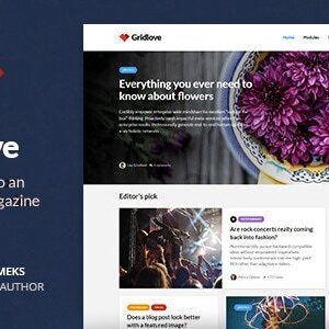 Gridlove – Creative Grid Style News Magazine WordPress Theme